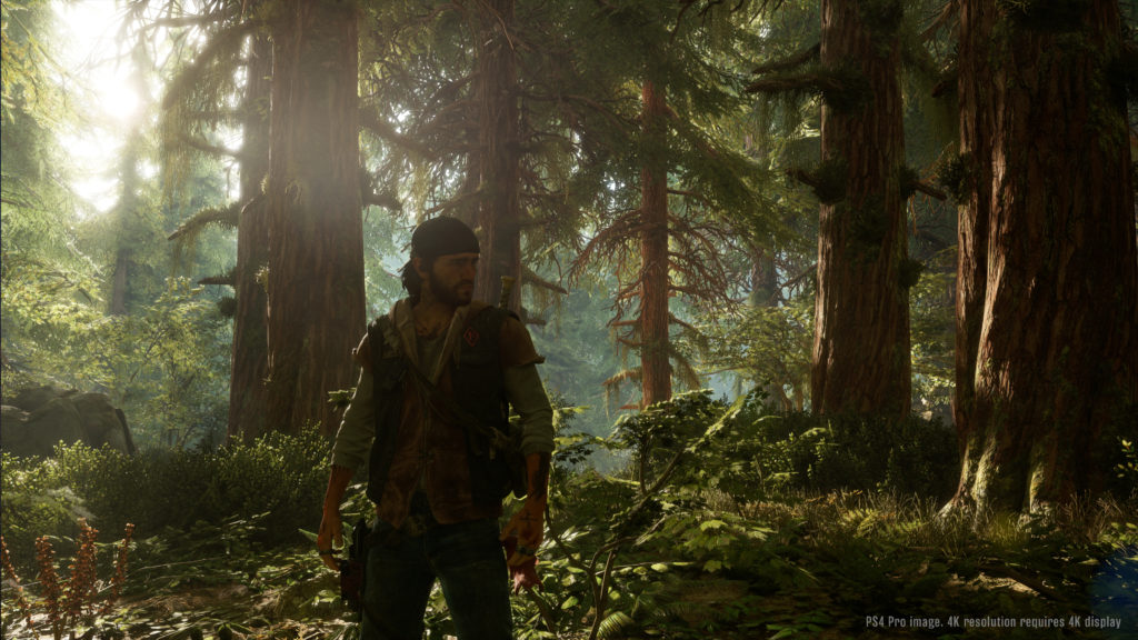 Days Gone Paysage