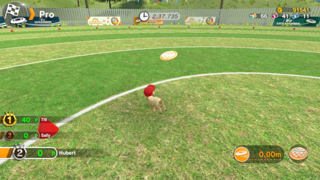 Les compétitions de disques pour chien