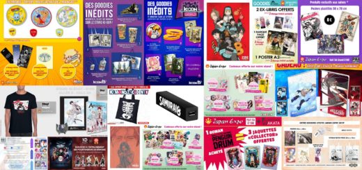Goodies Japan Expo 2019