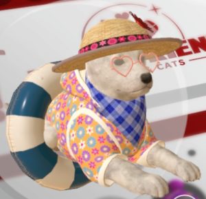 Les différents habits et accessoires dans Little Friends