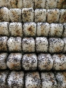 Photo tiré du site onigiriz