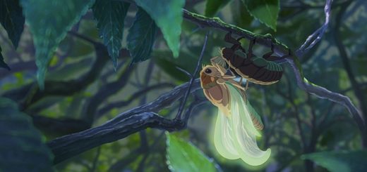 Cigales adultes dans l'animé The Garden of Words de Makoto Shinkai