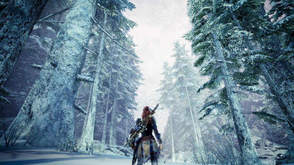 partenariat Monster Hunter Horizon Zero Down