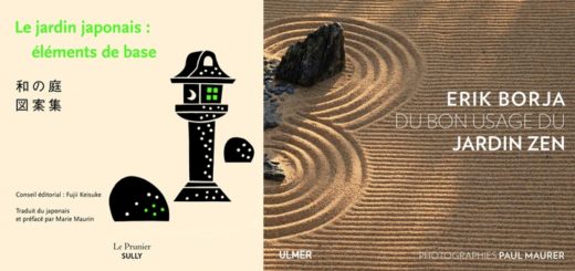 Une Comprendre les jardins japonais : technique et esthétique