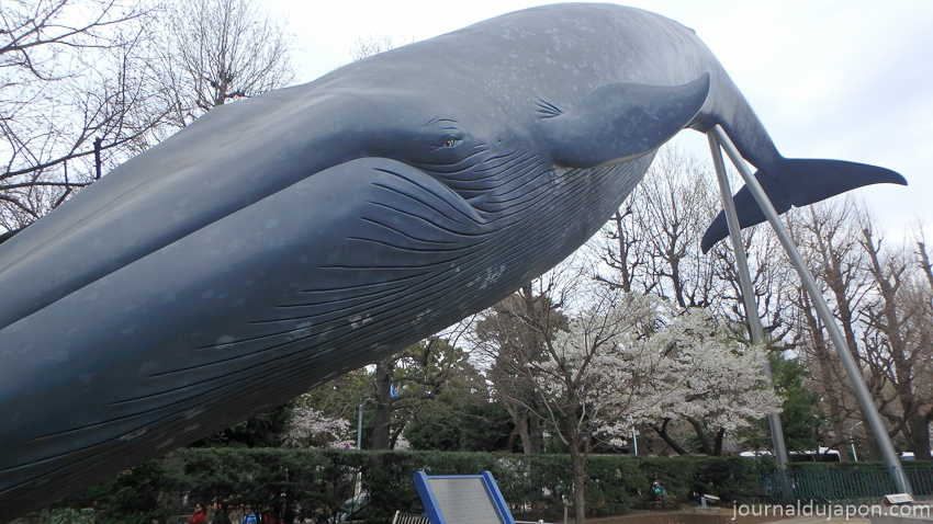 05 Histoire Naturelle