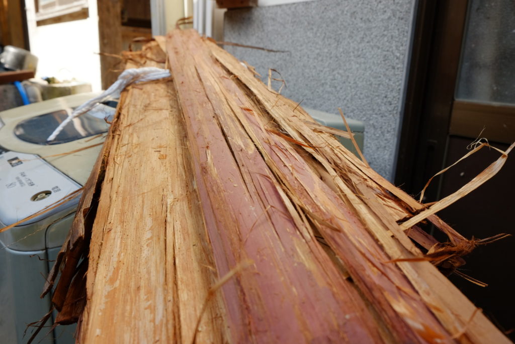 Fibres du cryptomère du Japon Sugi