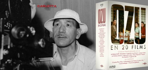 Une Ozu en 20 films