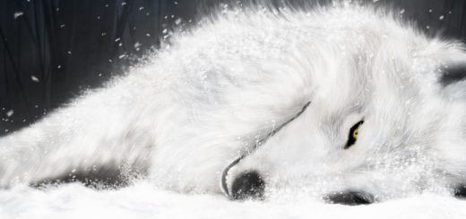 Wolf's Rain : anime du studio Bones