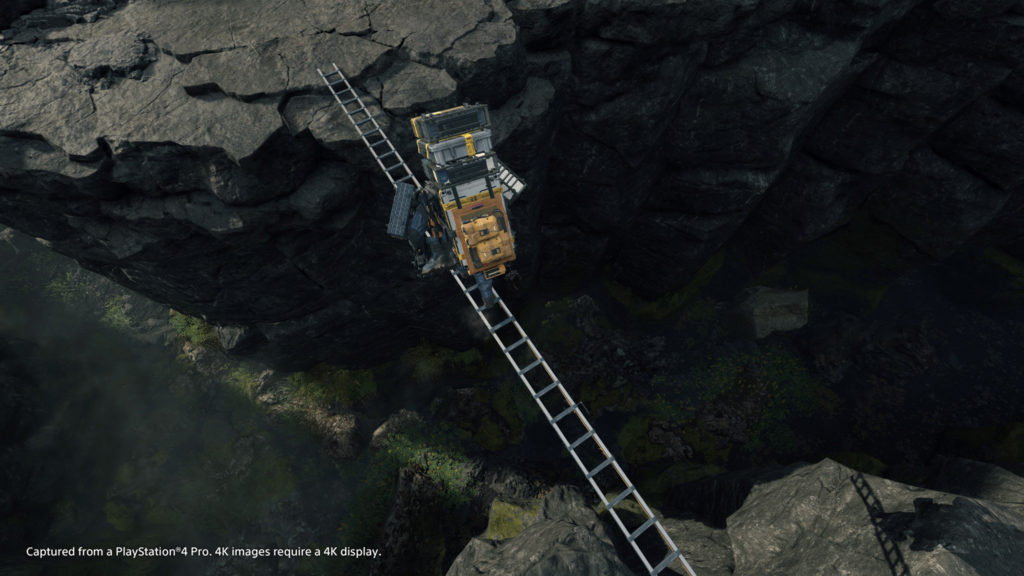 L'utilisation d'une échelle bien pratique pour traverser un précipice