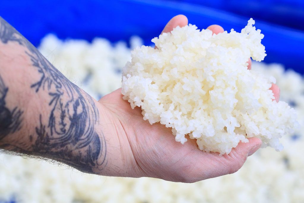 Pelussin_Larmes-du-Levant_49