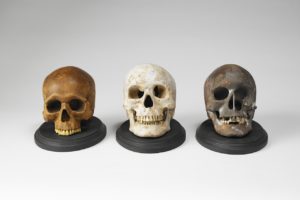 Crânes réalisés par Toshimasa Kikuchi