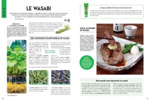 Japon gourmand pages intérieures wasabi