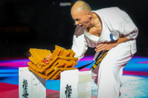 Du KARATÉ KYOKUSHINKAÏ