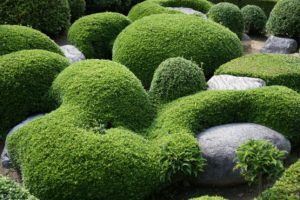 Le fuzei dans les jardins japonais : page intérieure