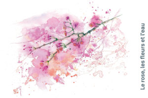 Kisetsu : page intérieure, printemps