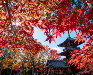Automne à Kyôto par Geoffrey Hugel, issue du livre Quelque chose du Japon d'Angelo Di Genova, éditions Nanika