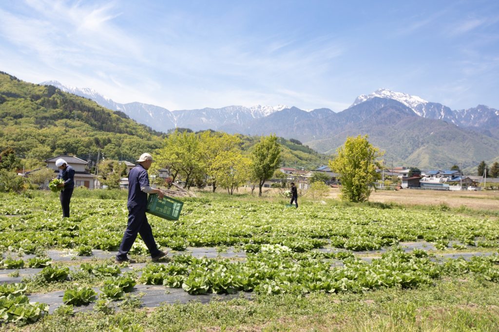 Une ferme bio, un visage du Japon peu montré ©80JoursJapon