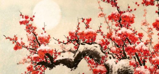 Lettre d'amour sans le dire Sthers