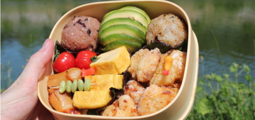 Bento Journal du Japon