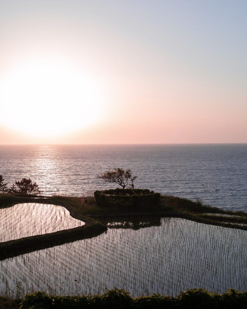 Les rizières de Wajima, exemple d'un des paysages du Japon ©80JoursJapon