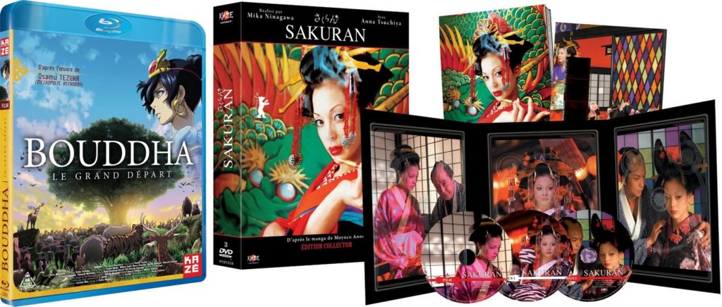 Propositions de films soldés chez Anime Store