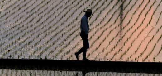 wwofing Journal du Japon