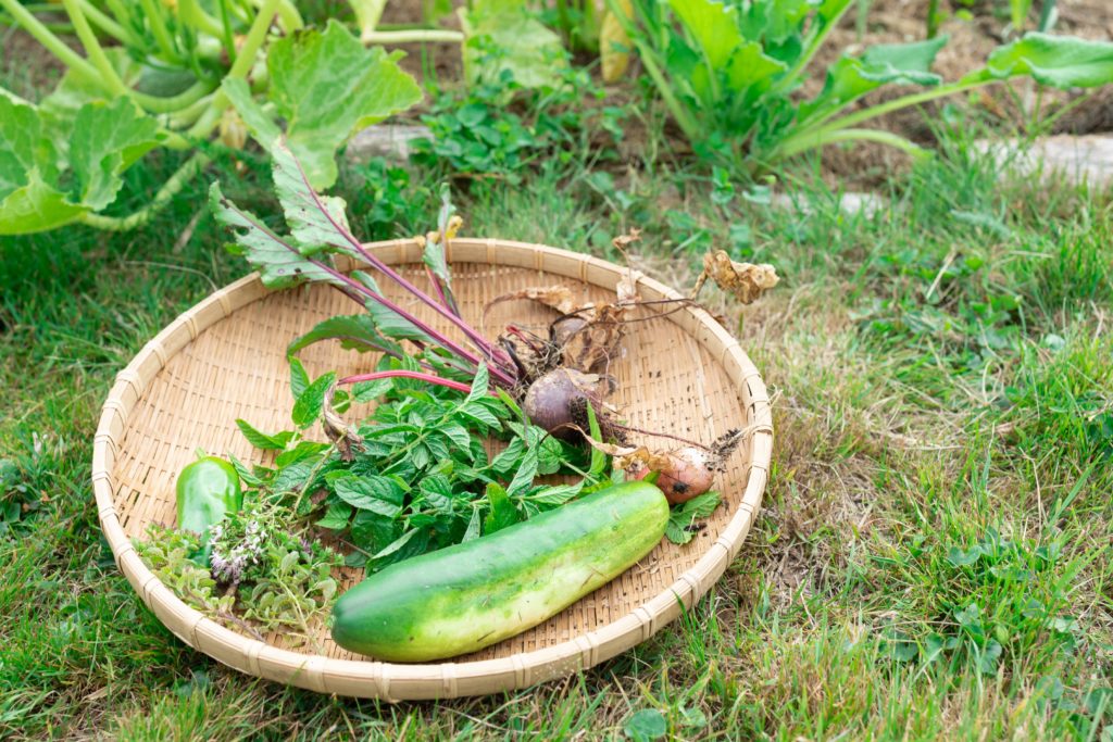 Valérie Duvauchelle par Sophie Lavaur