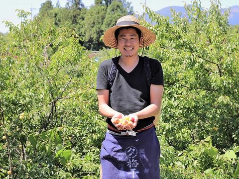 Yasashi Ume-yasan, culture de prunes biologiques