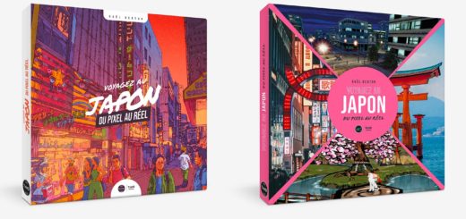 du pixel au réel Gael Berton