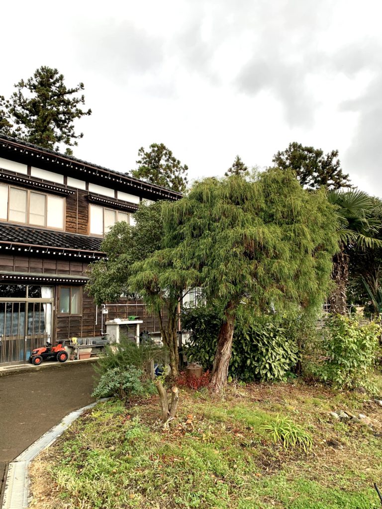 Challenged Tateno, maison