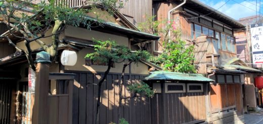 Flower District de Niigata