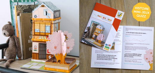 UNE de la Sakura Dori chez Fabulabox