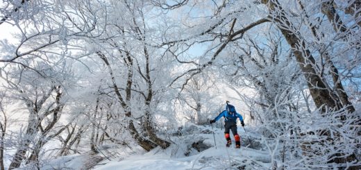Montagne japon © Kanenori