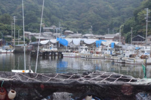 Toshijima (photographie fournie par Cédric Morgan)