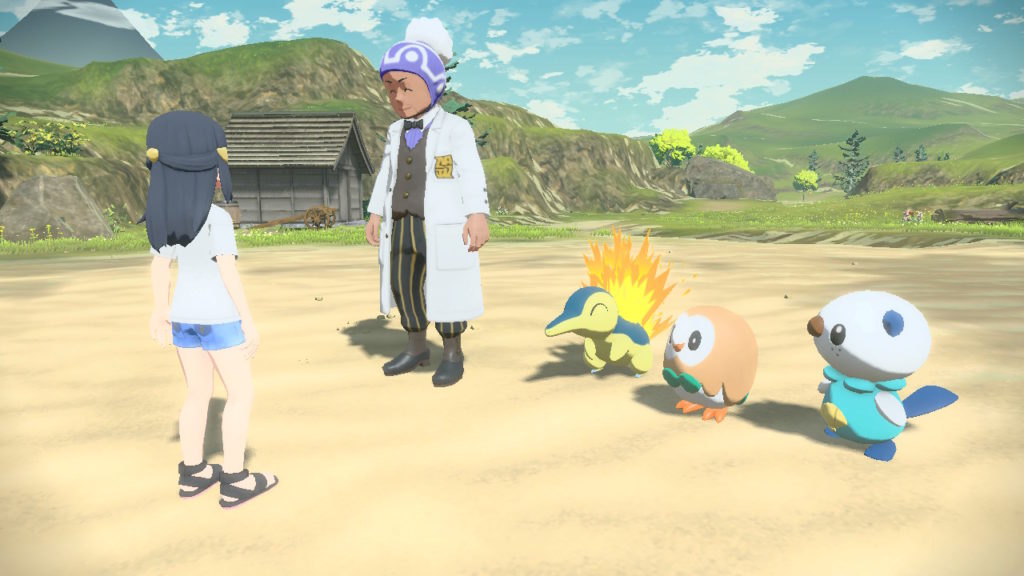 Capture 3 de Pokémon Légendes Arceus par Charlène