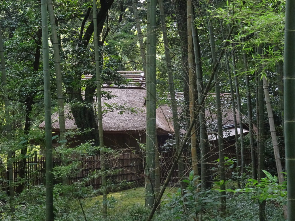 Bâtiment au tpoit de chamue derrière les arbres