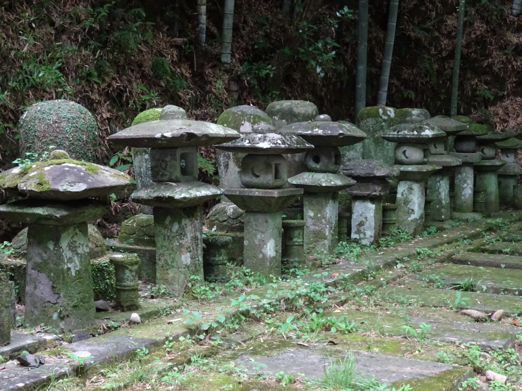 Allée de lanternes en pierre en pleine forêt