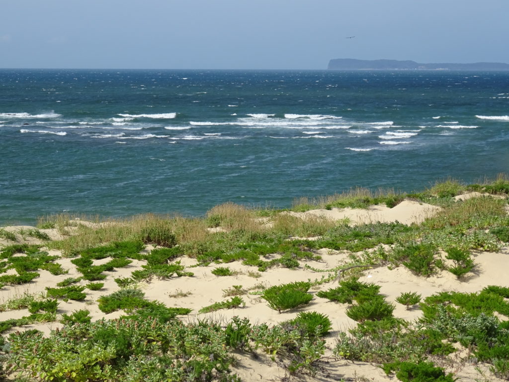 Vue de la mer à Umi no Nakamichi
