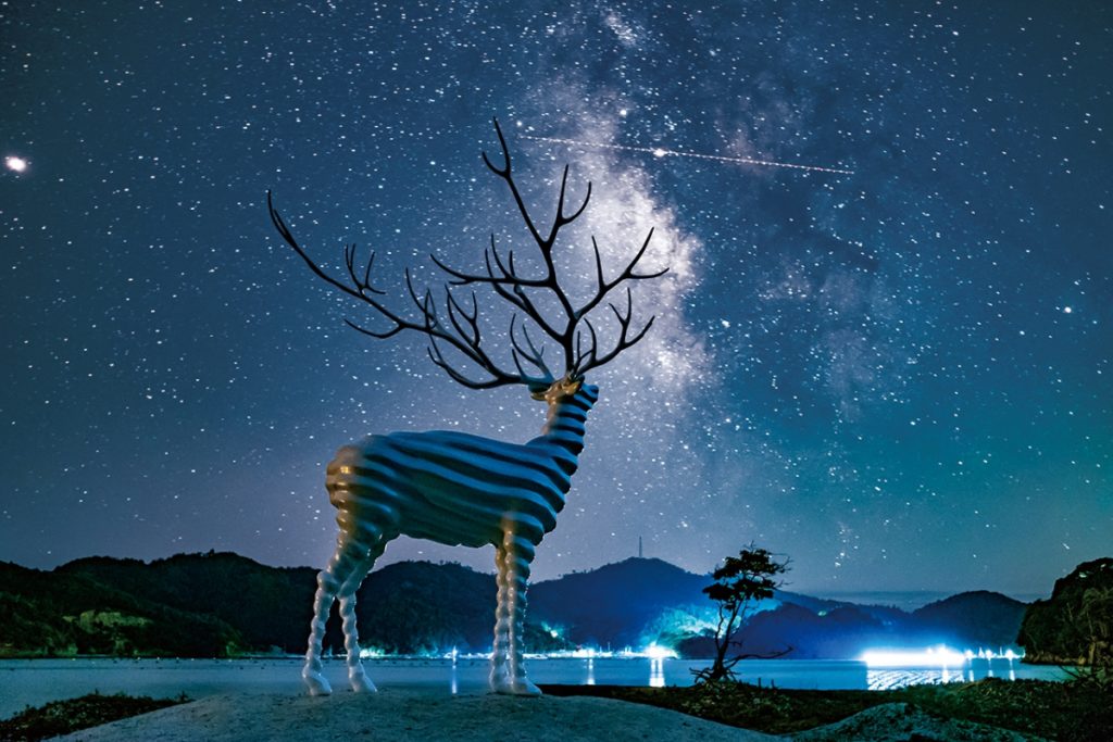 cerf blanc, Kohei Nawa