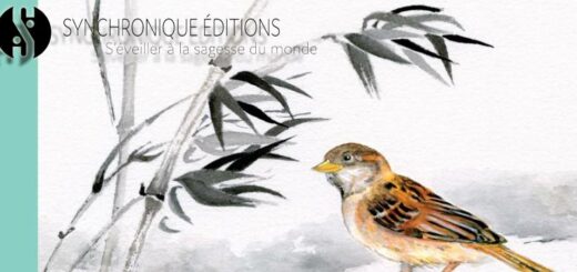 Image de UNE sur l'article de Synchronique éditions pour le poète Issa