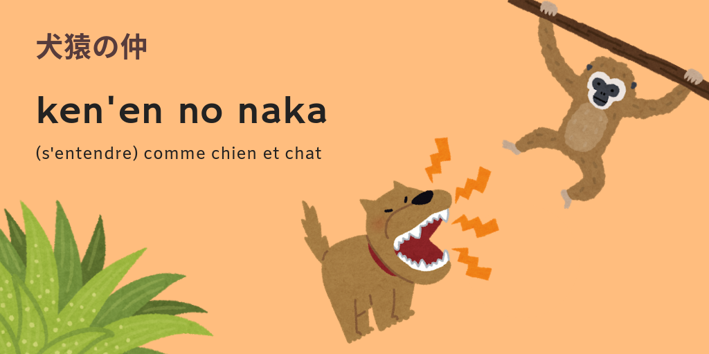 S'entendre comme chien et singe