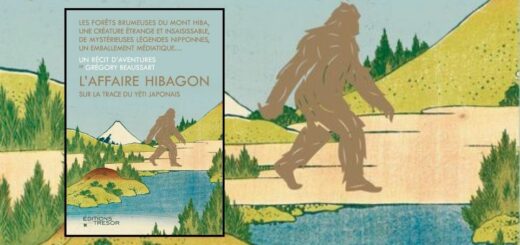 L'affaire Hibagon UNE JDJ