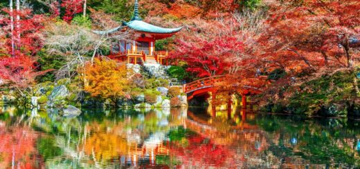 Temple Japon automne