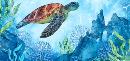 Tortue, paysage sous-marin