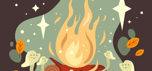 feu de camps dans une forêt