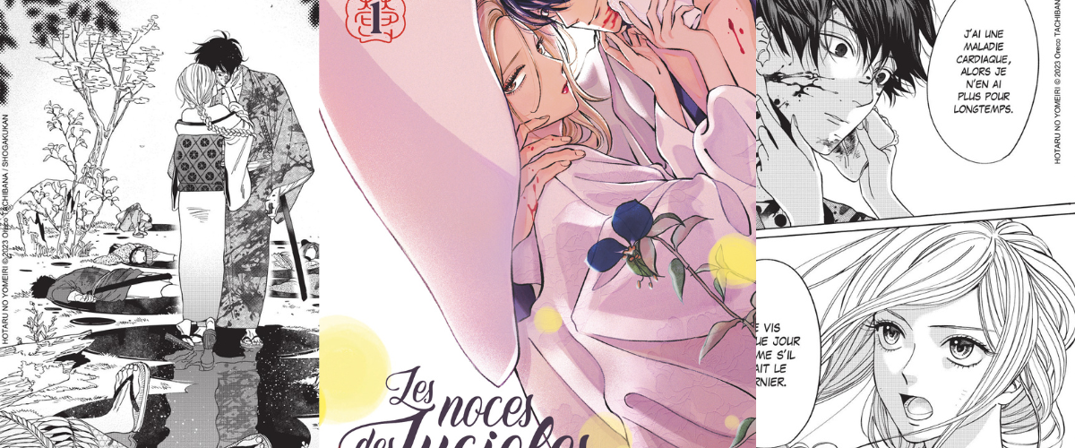 Les Noces des Lucioles : la romance n'a pas dit son dernier mot