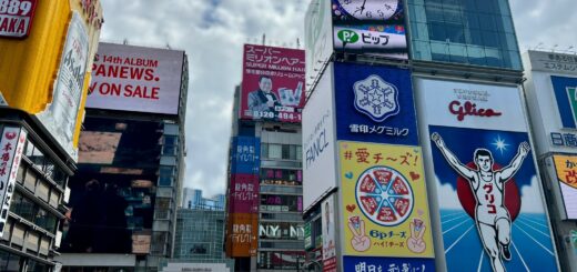 Vue de la rue Dotonbori à Osaka, avec ses hauts bâtiments au second et arrière plan, et des touristes au premiers plans.