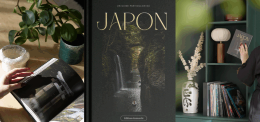 Couverture et présentations du livre