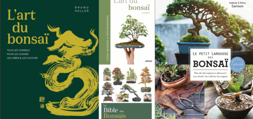 Couvertures des livres