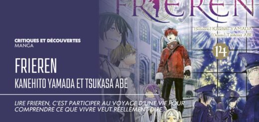 Frieren, ou l'écho des jours que l'on n'a pas su vivre